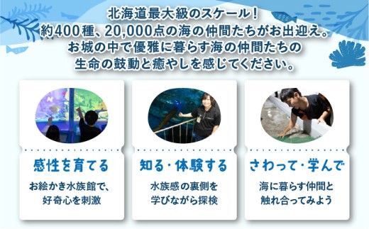 登別マリンパークニクス 入場券年間パスポート 大人・子ども 各1名 【 チケット 北海道 観光 旅行 体験 パーク 入場券 入園券 割引 北海道 水族館 動物園 イルカ アシカ ペンギン パレード】mr-0895_96