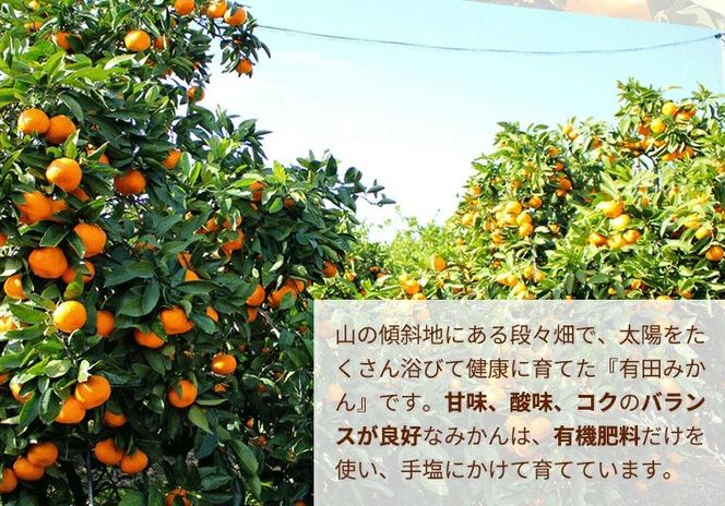 ＼光センサー選別／こだわりの完熟有田みかん 2kg【ご家庭用】サイズ混合 有機質肥料100% ｜ みかん 有田みかん 温州みかん ミカン 温州ミカン 柑橘 温州 甘い コク 産地直送◇