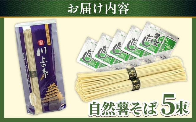 【2025年1月中旬より順次発送】手延べ 自然薯そば 250g (2～3人前) 和風だし付 / 蕎麦 そば 自然薯 / 南島原市 / 川上製麺 [SCM018]