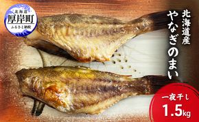 北海道産 やなぎのまい 一夜干し 1.5kg [ 柳の舞 干物 魚 北海道 焼き魚 ]