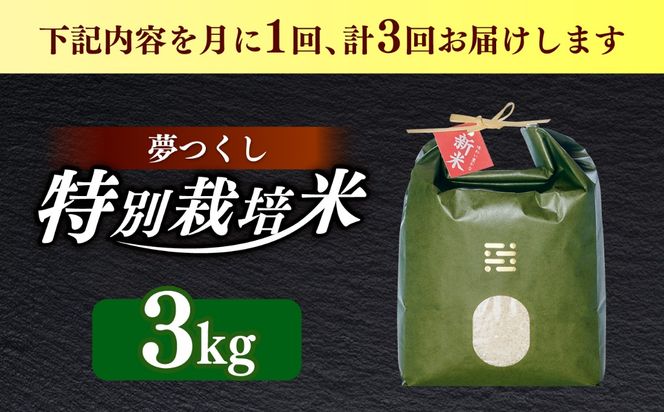 【全3回定期便】とくべつの中のとくべつ  特別栽培米 夢つくし 3kg 【築上町】 / itoshimacco / 株式会社やました[ABEX002]