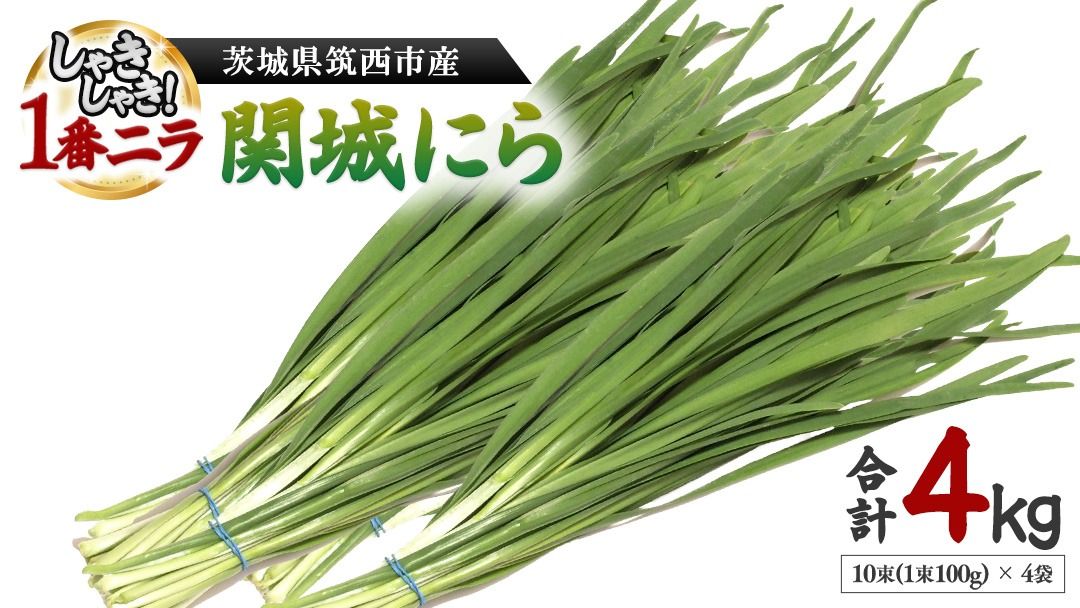 関城にら 4kg ( 100g × 10束 × 4袋 ) 一番ニラ ニラ にら 野菜 [DI001ci]