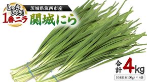 関城にら 4kg ( 100g × 10束 × 4袋 ) 一番ニラ ニラ にら 野菜  [DI001ci]