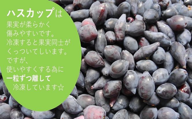 自家農園産・冷凍ハスカップ1kg（500g×2袋） 北海道 南富良野町 ハスカップ 果実 冷凍 大容量 冷凍ハスカップ 果物 フルーツ セット 詰め合わせ 