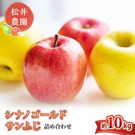 りんご サンふじ シナノゴールド 詰め合わせ 約10kg フルーツ 果物 甘い 林檎 セット