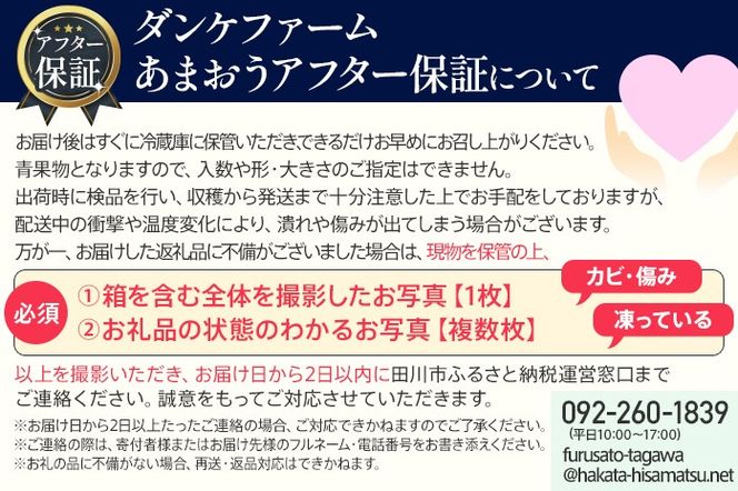 アフター保証 あまおう 8～9粒入り×2パック （先行受付／2025年1月以降順次発送予定）いちご 大粒 不揃い DX デラックス エクセレント 苺 イチゴ 福岡高級 フルーツ 土産 福岡県