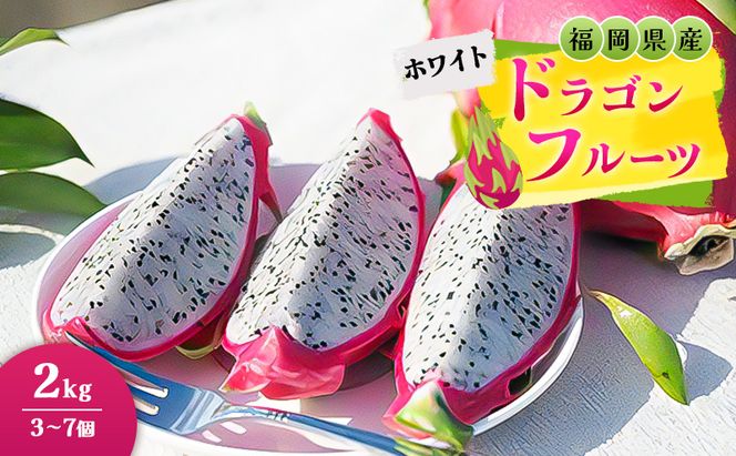 福岡県産 ドラゴンフルーツ ホワイト 2kg (3～7個) 果物 フルーツ ※配送不可:離島