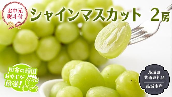 【お中元 熨斗付】 シャインマスカット 2房 【2026年7月から発送開始】 （茨城県共通返礼品 [ぶどう]：結城市産） 田舎の頑固おやじが厳選！ マスカット 種なし 高糖度 ギフト お中元 甘い 美味しい フルーツ ぶどう ［BI266-NT］