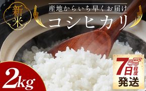 【7日程度で発送】新米コシヒカリ 2kg - 新米 お米 おこめ 国産 米 精米 ひのひかり ごはん 白米 ご飯 おにぎり おむすび 料理 調理 防災 非常食 備蓄 高知県 香南市 常温 at-0055