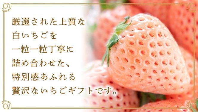 【桐箱入り】ピンクいちご 9～15粒 【2027年1月から発送開始】（茨城県共通返礼品 [いちご]：城里町産） いちご イチゴ 苺 とちおとめ 甘い 国産 人気 桐箱入り 贈答 贈り物 ギフト ふるさと納税