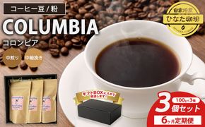 【6カ月定期便】コーヒー 豆 粉（コロンビア 中煎り 中細挽き）100g × 3個セット | ミディアムロースト ギフトBOX付き コーヒー 珈琲 自家焙煎 ひなた珈琲 幸田町 送料無料