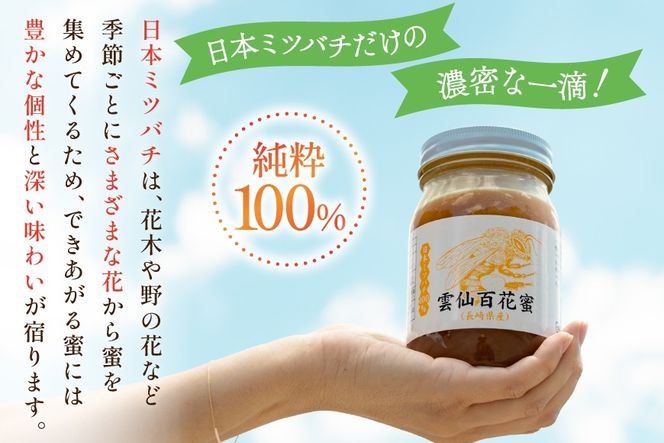 AJ445 はちみつ 国産 百花蜜 500g 1個 日本ミツバチ 純粋 100% [ 安中梅林を育てる会 蜂蜜 ハチミツ 非加熱 無添加 長崎県 島原市 ]