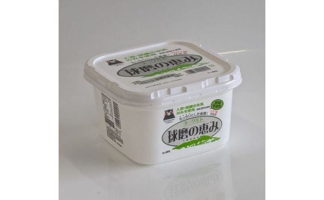 ヨーグルト もっちり、とろ～りの2つに食感！ 球磨の恵みヨーグルト (砂糖不使用)  3kg 【配送不可：沖縄県、離島】