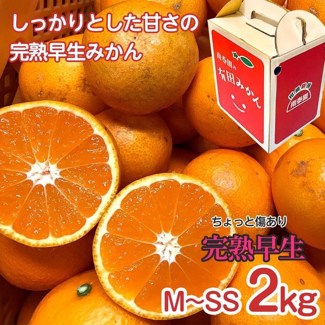 【 4年間 有田みかん 3種 食べくらべ ／ 全12回 】 ちょっと 傷あり 2kg × 3回 × 4年 コース 南泰園 みかん BS820-4ey