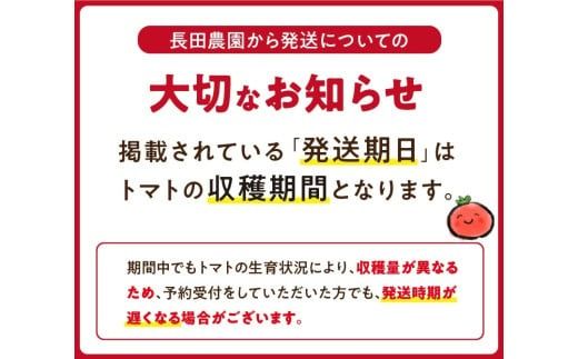 【2027年度予約分】期間限定！プレミアムフルーツトマト 約1.4kg　長田農園 産地直送 トマト とまと 野菜 やさい フルーツ サラダ 濃厚 甘い ご褒美 プレゼント 美容 健康 リピート多数 人気 高評価 先行受付 数量限定 碧南市　H004-257