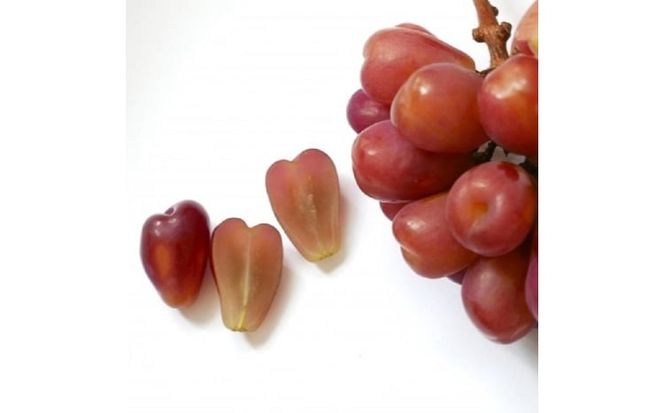 ぶどう 2026年 先行予約 農家こだわりのシャインマスカット＆ハート型のマイハート 合計約1.2kg ブドウ 葡萄 岡山県産 国産 フルーツ 果物 ギフト 【 Nini farm 農家 直送 】 [№5735-3311]