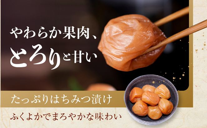 紀州南高梅 はちみつ極 塩分約6％ 850g ［YM10］ 303446_DX90013