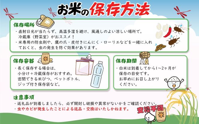 【令和7年産】米 無洗米 白米 コシヒカリ 5kg(5kg×1袋) 国産 ご飯 茨城県 境町産 人気 S269