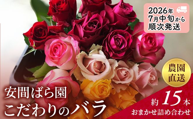 2026年7月中旬から順次発送】安間ばら園 こだわりの バラ おまかせ