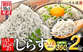 訳あり 釜揚げ しらす 350g～2kg 小分け  減塩 無添加 無着色 冷凍 愛知県 南知多町 ご飯 ごはん 丼 料理 国産 カネ成 シラス 人気 おすすめ