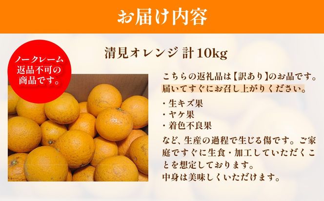 【先行予約】訳あり 清見オレンジ計10kg ※離島への配送不可（2027年3月上旬頃より順次発送予定）IKTAC009