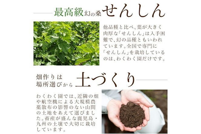 a793 国産！わくわく園有機桑茶・計120包(2g×60包・2袋)【わくわく園】桑の葉 有機 桑茶 桑 桑の葉茶 お茶 ティーバッグ ティーパック ノンカフェイン くわ 茶 九州産