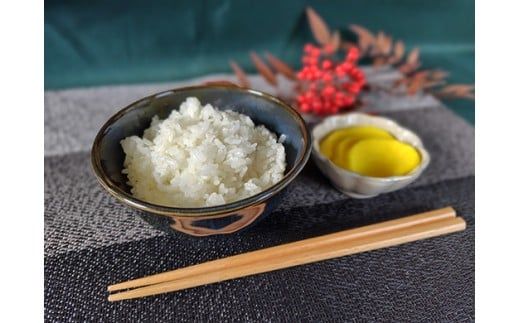 【7年産】近江米 環境こだわり米 みずかがみ 無洗米【5kg×1】【BN15W】みずかがみ 米 お米 こめ コメ 白米 ご飯 精米 5kg 10kg 国産 送料無料 おすすめ 人気 大人気 国産 ランキング 無洗米