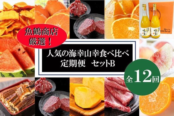 〈毎月定期便〉人気の海幸山幸食べ比べ セットB 【定期便全12回】【魚鶴厳選】◆