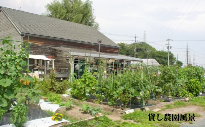 下田ビレッジ農園1年ご利用券 体験チケット チケット 