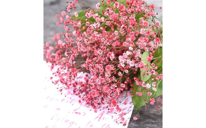 チェリーかすみの花束 かすみ草 カスミソウ 花束 花 誕生日 成人式 卒業祝い 初節句 ひな祭り バレンタイン お返し 結婚 ウエディング 送別 祝い プレゼント 結婚祝い お礼 花束 赤いかすみ草 チェリー レッド 生花ドライフラワーにも 送料無料 お母さん 記念日 272230_BG110