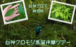 【白神アロマ研究所】5名様まで参加可能！白神クロモジ蒸留体験ツアー（昼食付）
