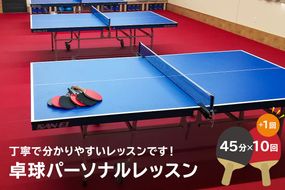 卓球パーソナルレッスン（45分×11回）【0075-003】