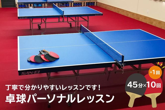 卓球パーソナルレッスン（45分×11回）【0075-003】