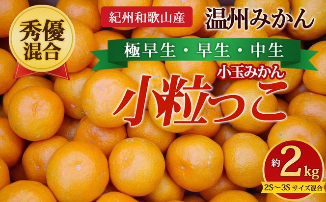 【先行予約】【秀優混合】紀州和歌山産 温州みかん「小粒っこ」約2kg（箱込み）2S～3S サイズ混合 小玉みかん（極早生・早生・中生）