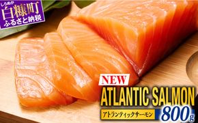 【TOWA SALMON】アトランティック サーモン 【800g】鮭 サーモン さけ シャケ しゃけ sake カルパッチョ ソテー レアステーキ 人気 高級 大満足 美味しい 贈答 生食用 刺身 お刺身 刺し身 魚介類 海鮮 冷凍 厚切り 薄切り ふるさと納税 北海道 白糠町 ※2025年10月末までにお届け※