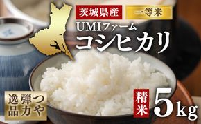 令和7年産　茨城県産コシヒカリ一等米　精米５㎏　つや、弾力逸品
