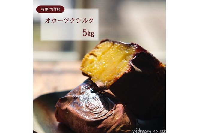 【予約：2025年11月中旬から順次発送】北海道北見市常呂町産 サツマイモ オホーツクシルク 5kg ( さつまいも さつま芋 焼き芋 大学芋 )【111-0001】