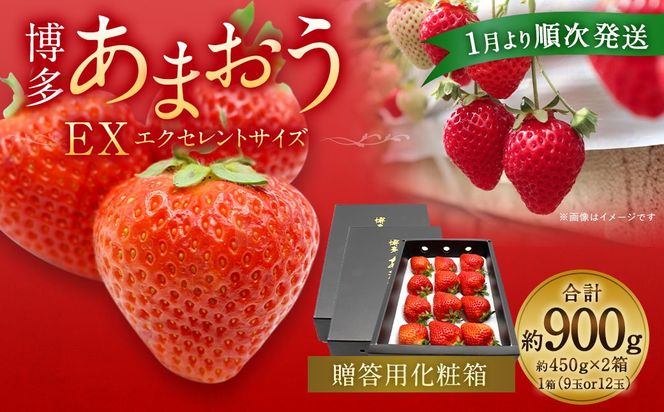 1月より順次発送!「博多あまおう」EX　贈答用化粧箱　約450g 2箱【ほたるの里】_HA0753