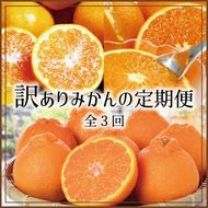 【3か月定期便】たっぷり届く♪ 訳ありみかんの定期便 温州みかん 不知火 清見オレンジ / ご家庭用 ミカン 柑橘 フルーツ 果物 【tkb113】