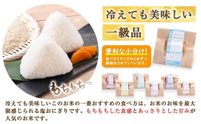 無洗米 ホタルの里水越の自然栽培米 約2.1kg 300g×7袋 合同会社点天《30日以内に発送予定(土日祝除く)》洗わなくてOK 米 コメ 小分け 便利 熊本県産---mf_tnmsn6nen_24_30d_10000_2100g---