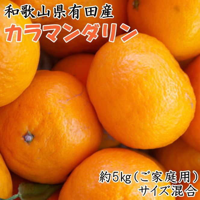 【春みかん】和歌山有田産カラマンダリン約5kg(サイズ混合　ご家庭用)
