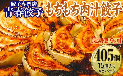【定期便9ヶ月】餃子専門店青春餃子 もちもち肉汁餃子15個入り×3パック 45個（計405個）