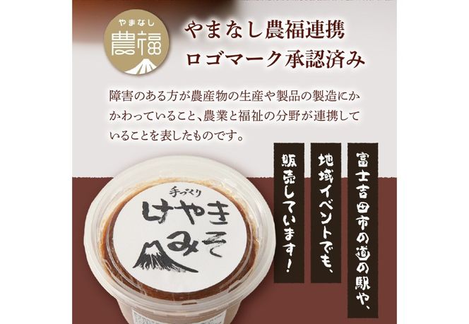 手作り　無添加　けやきみそ　1kg(500g×2個) みそ 大豆 無添加 米麹 食塩 手作り 味噌 無添加 大豆 食塩 山梨 富士吉田