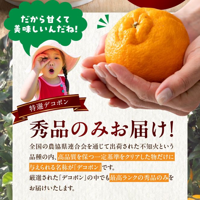 BD7008_和歌山有田産 デコポン秀品のみ！ 2.5kg（9～12玉）