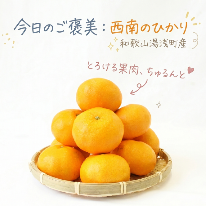【2026年先行予約】《訳あり 家庭用》西南のひかり 約5kg（S～2Lサイズ混合）_EQ6008