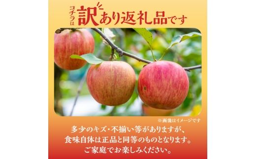 【先行予約：2026年10月中旬より発送】訳アリ りんご（レッドゴールド）2.8kg【北海道余市町産】_Y103-0084