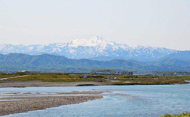 石川県産コシヒカリ 姫九谷(精米)10kg お米 