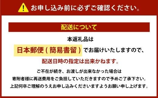 ＜ R8年熊本地震復興支援 ＞上天草市内の宿泊施設 宿泊利用 10,000円分 宿泊 宿泊券 利用券 券 チケット 一万円 旅館 ホテル 民宿 温泉 キャンプ 旅行 観光