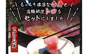 本マグロ（養殖）トロ＆赤身セット 500g 【12月発送】 / 高級 クロマグロ 中トロ 中とろ まぐろ マグロ 鮪 刺身 赤身 柵 じゃばらまぐろ 本マグロ 本鮪【nks110B-12】