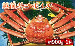 越前ガニ ボイル 約1kg ズワイガニ かに 海鮮 海産物 海の幸 魚介 魚介類 越前かに 越前カニ 越前がに ずわいがに ずわい蟹 カニ 蟹 ボイルガニ 冷蔵 冷蔵配送 福井県 福井 若狭町 若狭